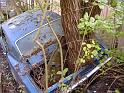 Autofriedhof - 008